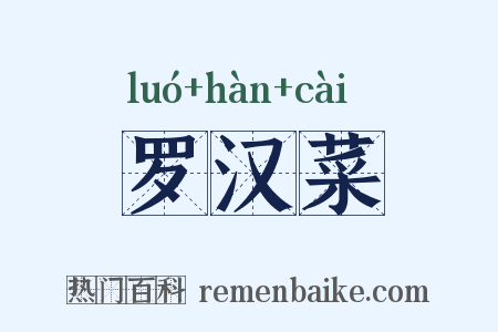 罗汉菜是什么意思的图片